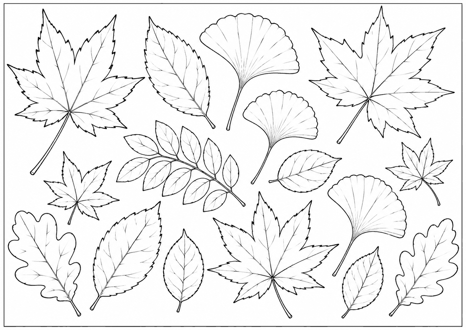 秋の葉っぱ 塗り絵