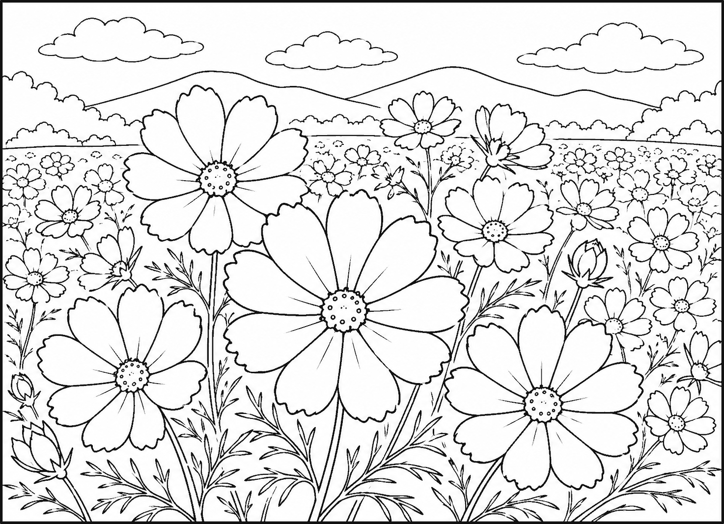 コスモス2 塗り絵