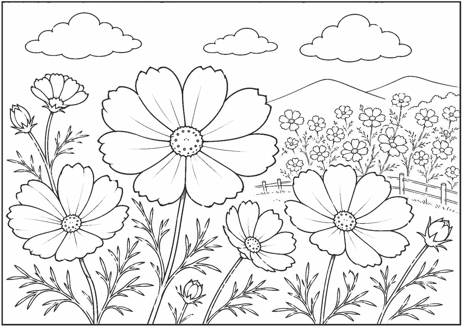 コスモス3 塗り絵