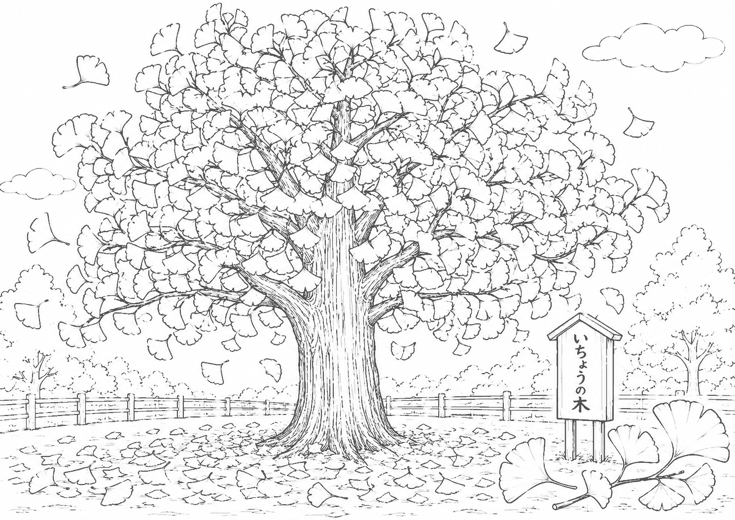 いちょう 塗り絵