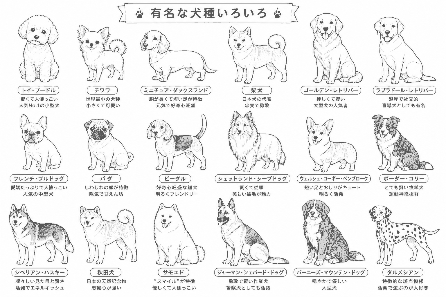 犬種 塗り絵