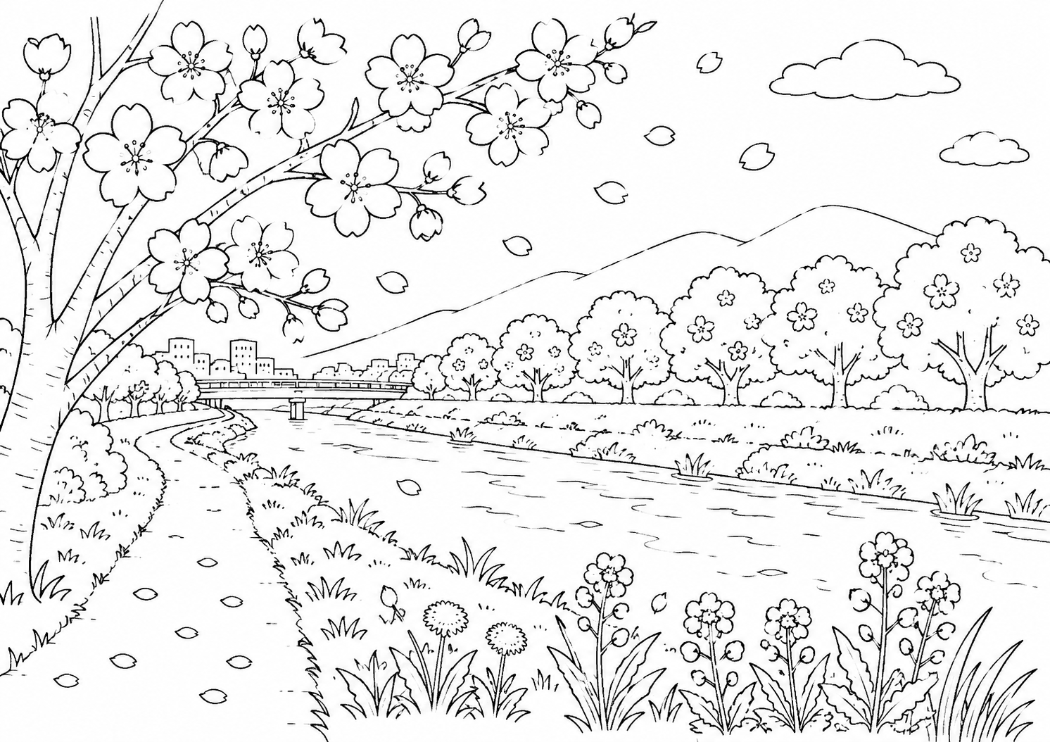河川敷の桜 塗り絵