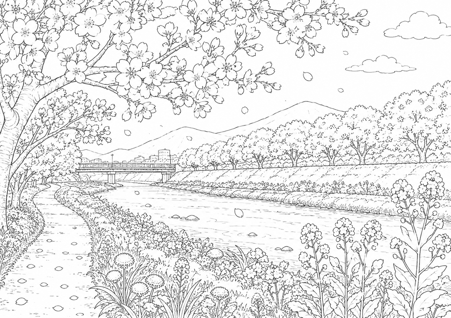 河川敷の桜 塗り絵