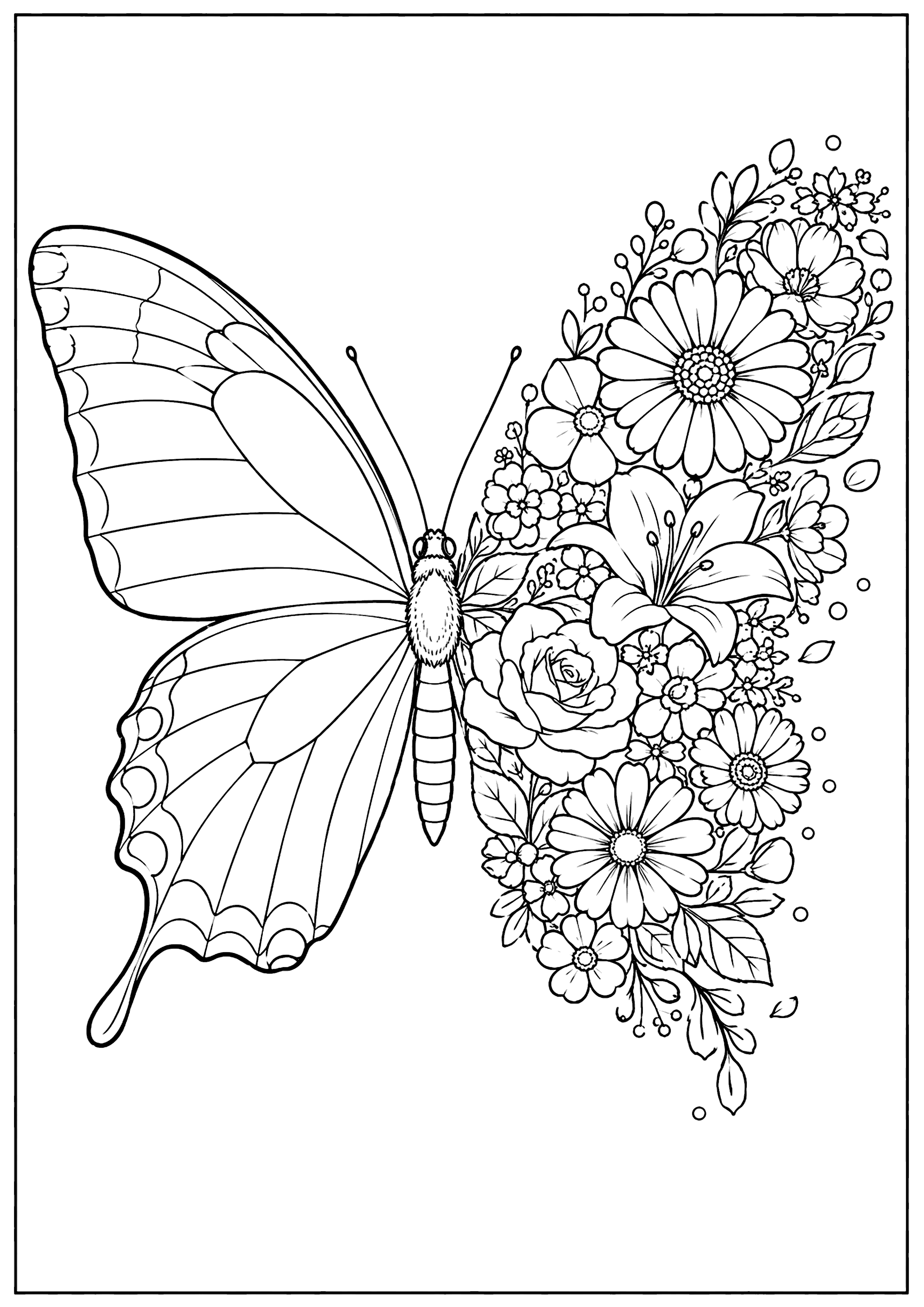 片羽蝶 塗り絵