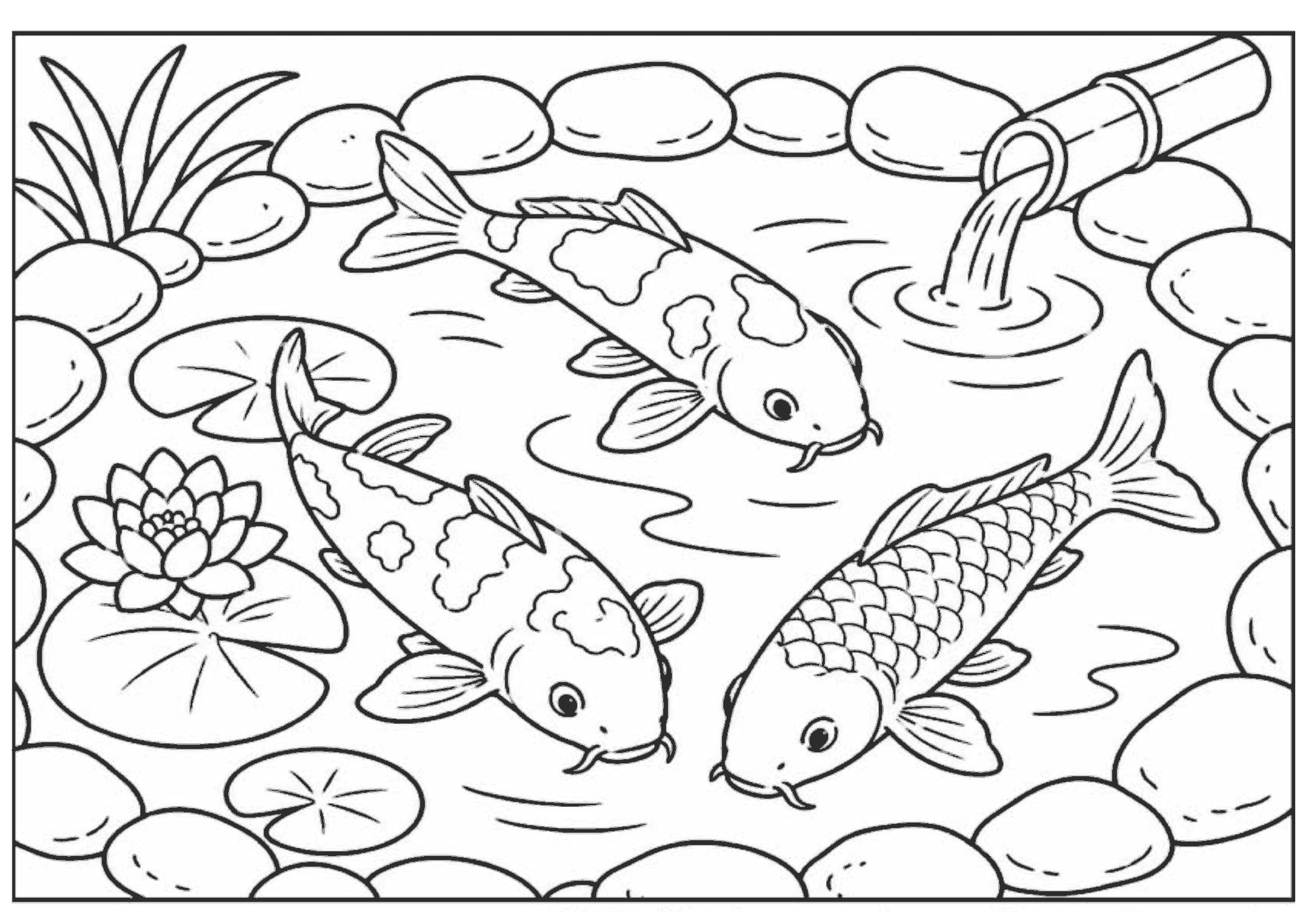 鯉 塗り絵