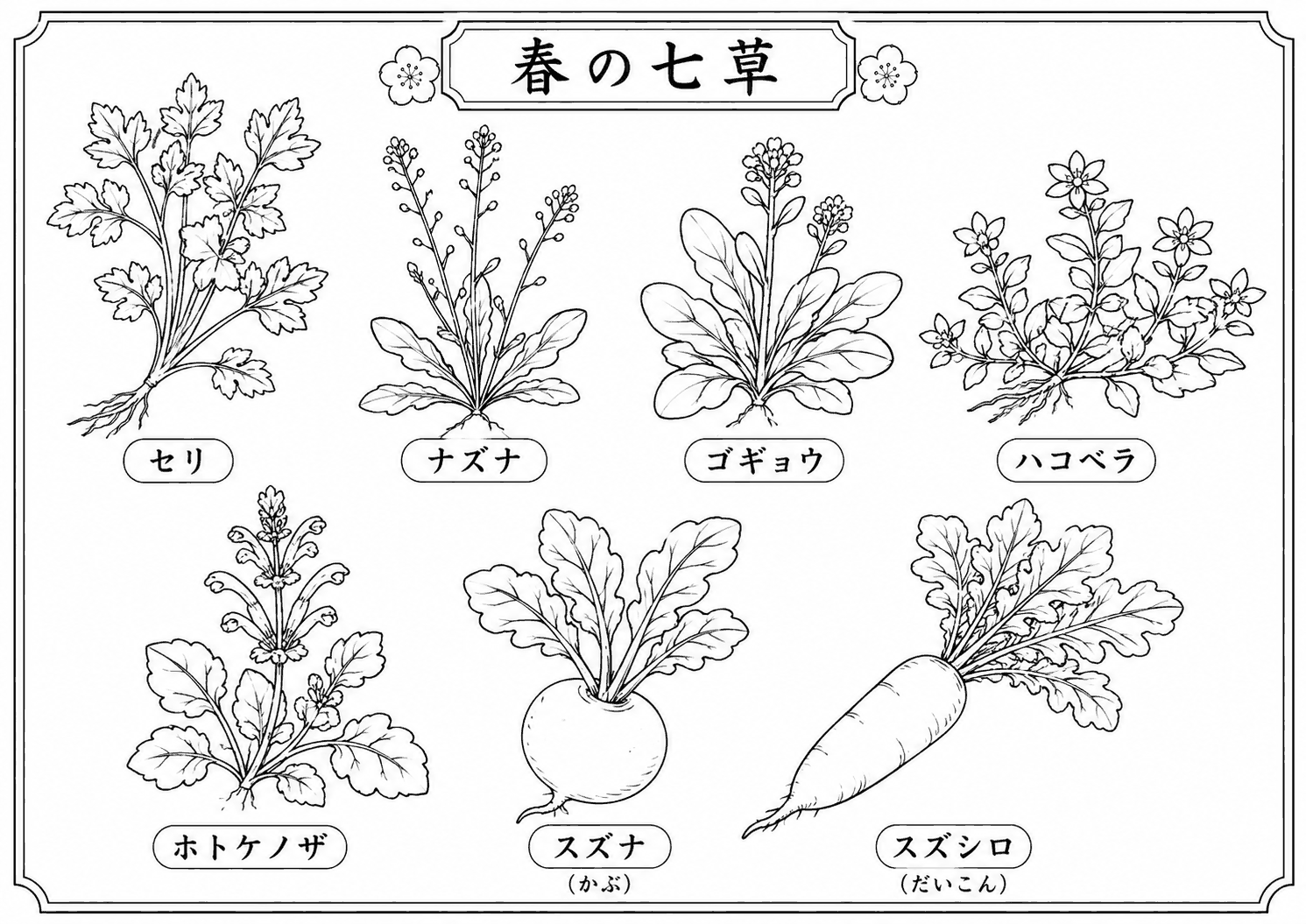 七草 塗り絵