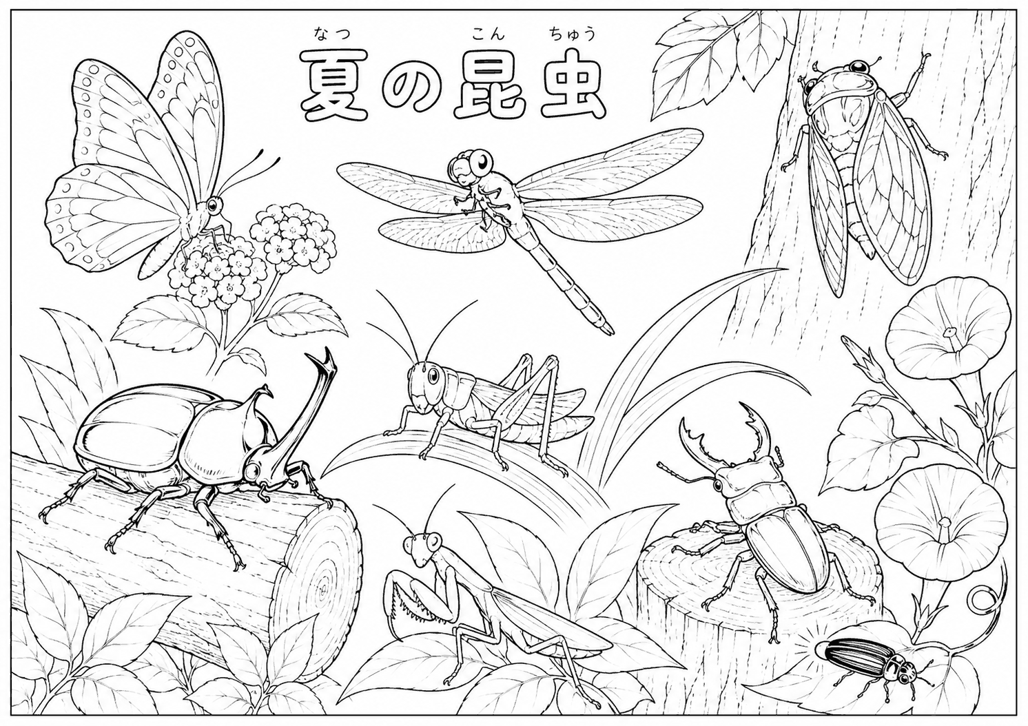 夏の昆虫 塗り絵