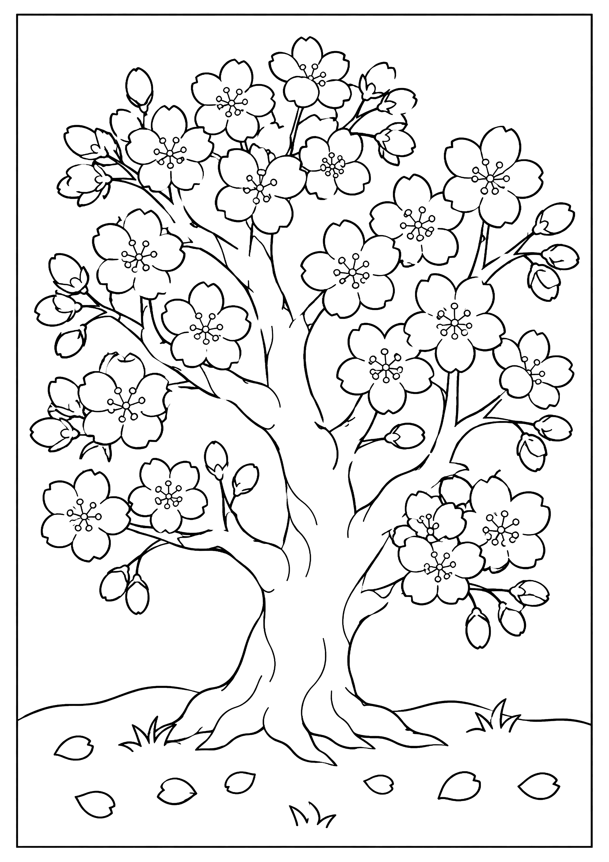 桜の木 その2 塗り絵
