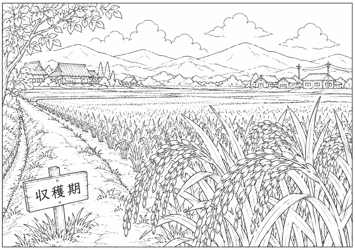 収穫期のたんぼ 塗り絵