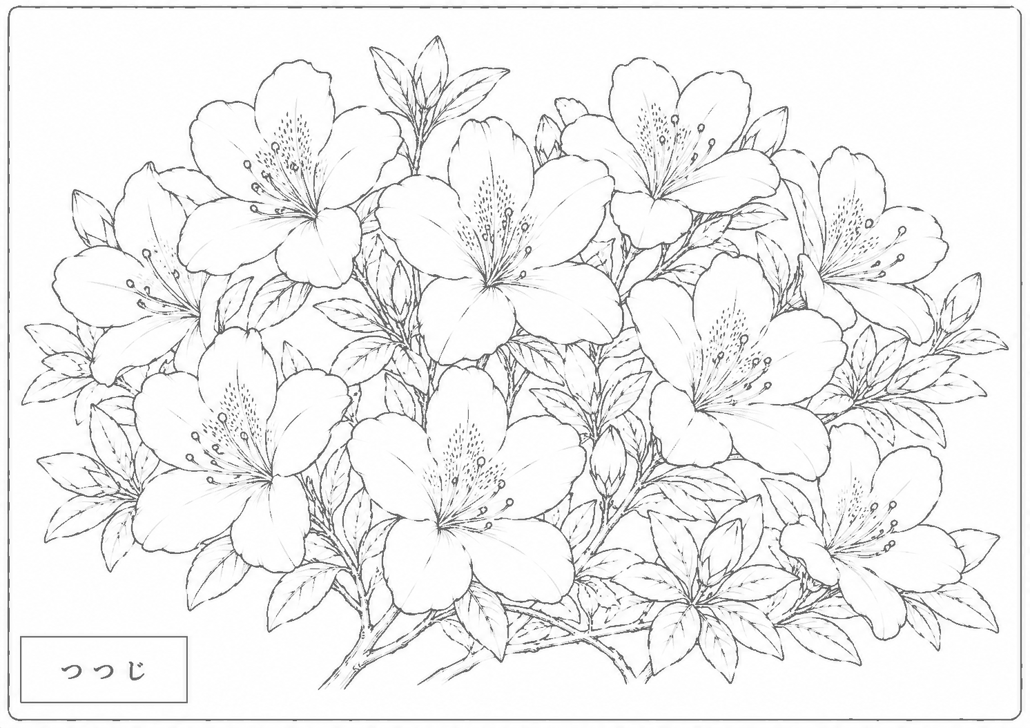 つつじ 塗り絵