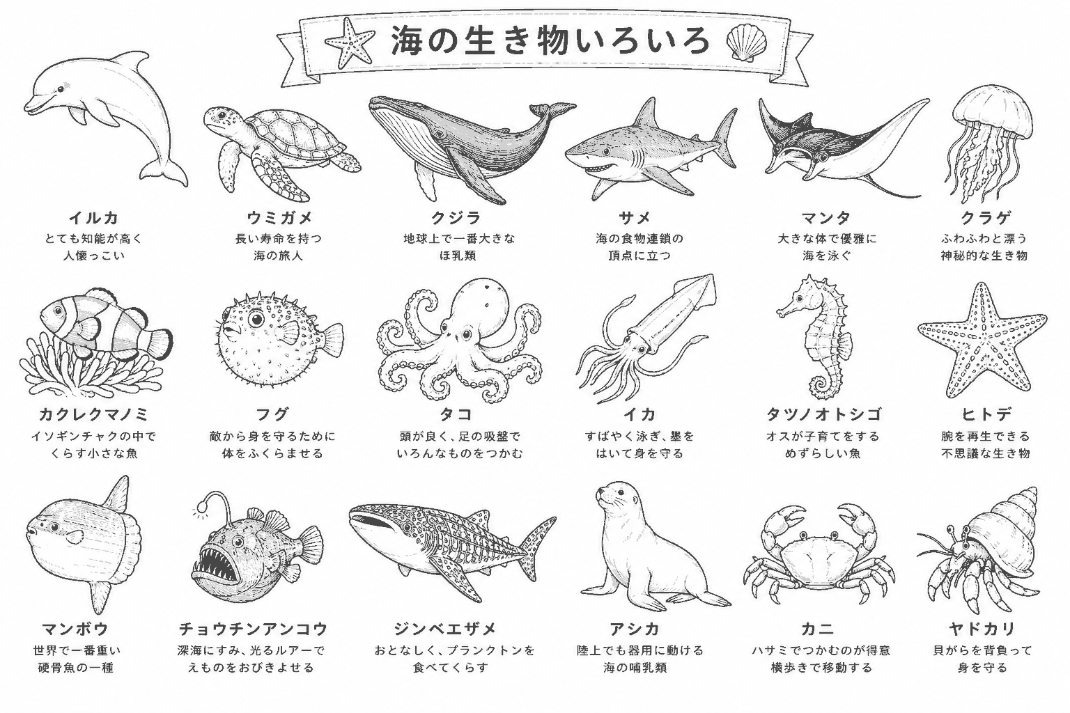 海の生き物 塗り絵